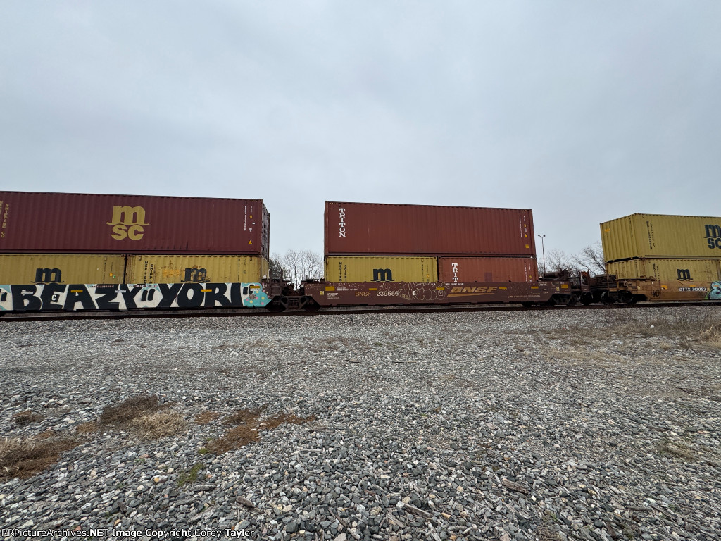 BNSF 239556